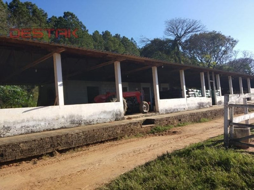 Imagem 2 de 15 de Ref.: 3948 - Sítio Em Jundiaí Para Venda - V3948