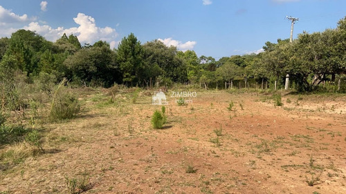 Imagem 4 de 9 de Terreno Com Mil M², Possibilidade De Comprar Dois Lado A Lado - 19581