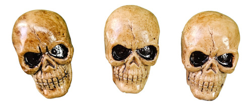 Enfeite Mini Cranio Caveira Maciça Decoração 3 Unids 