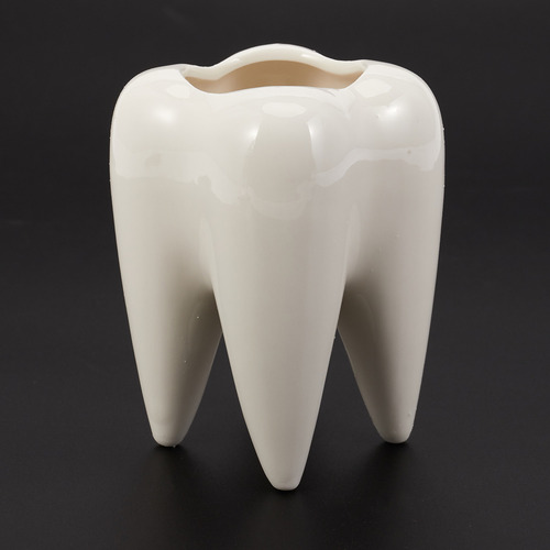 Maceta De Cerámica Blanca Con Forma De Diente, Diseño Modern