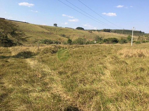 Imagem 3 de 8 de Venda: Terreno Em Área Rural Com 2 Alqueires - Oportunidade - Ch00129