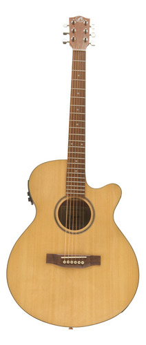 Guitarra Electroacústica Bamboo Stage Spruce 40 Gloss Con Funda Acolchada