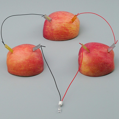 Kits De Experimentos Científicos De Batería De Frutas