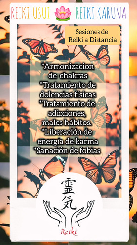 Limpieza Energética Con Reiki. Sanación De Karma Y Patrones (Usado)