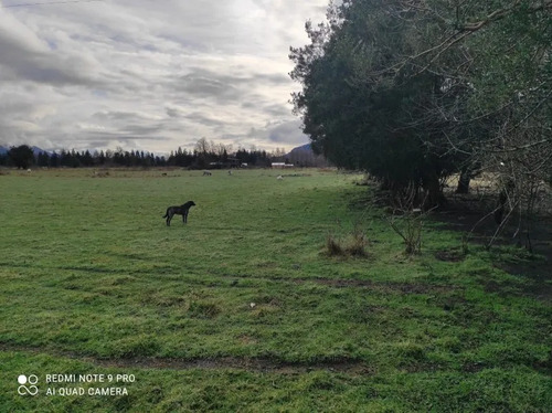 Parcela En Venta | 5.000 M² | Riñinahue - Lago Ranco
