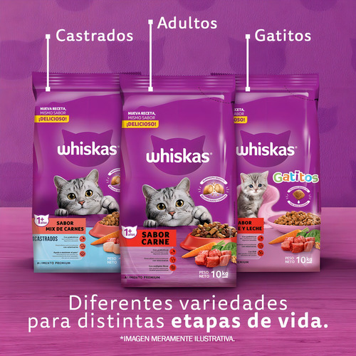 Whiskas Alimento Seco Gatitos Carne Y Leche 10 Kg