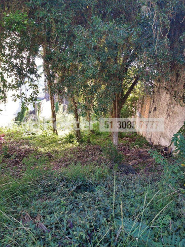 Imagem 4 de 8 de Terreno, 540 M², Jardim Isabel - 206293