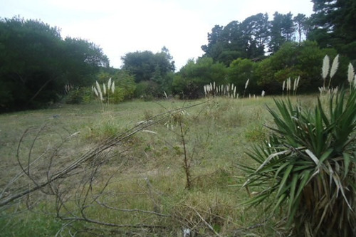 Imagen 8 de 8 de Excelente Lote A Nivel- Muy Lindo Entorno- 15x30 Mas Espacio Verde-