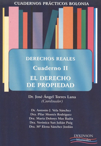 El Derecho De Propiedad, De Vários Autores. Editorial Dykinson, Tapa Blanda, Edición 1 En Español, 2010