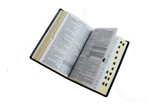 Bíblia Sagrada - Letra Gigante - Harpa - Corinhos - Presente