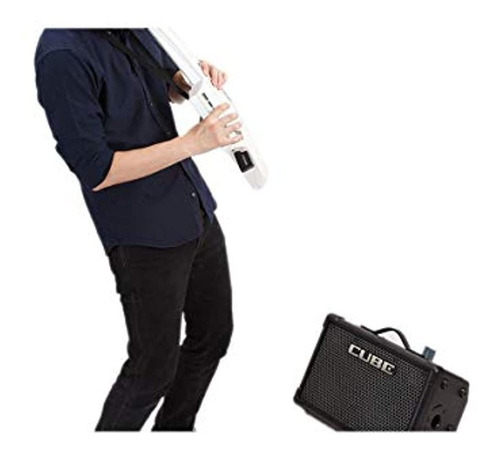 Sistema Inalámbrico Jefe (wl-20l)