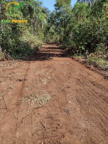 Imagem 8 de 9 de Fazenda À Venda Em Araguaína - To - 687,28 Hectares (dupla Aptidão) - 2109