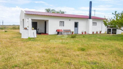 Venta Chacra 3,1838 Has, San Ramón, Canelones