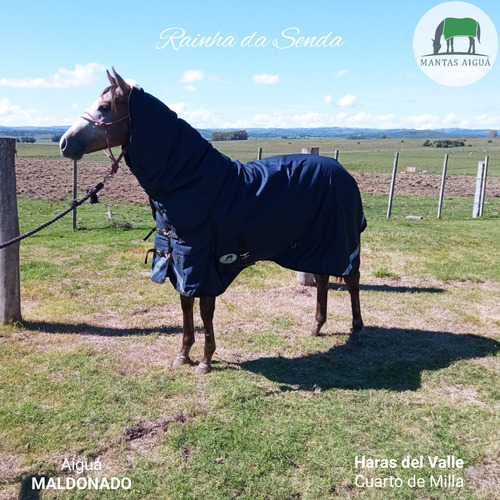 Manta Capa Caballo Importada (descuento Vta. Directa)