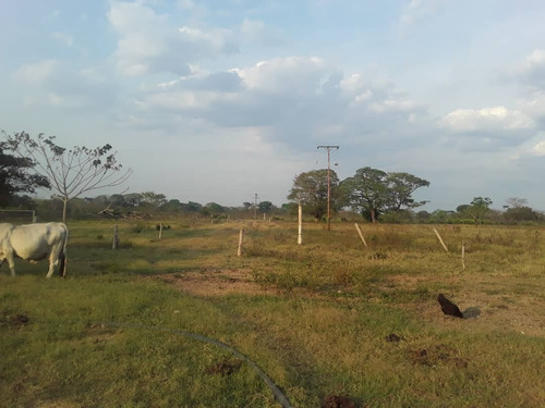 Imagen 4 de 7 de Finca En Lagunita Cod. Indif-039