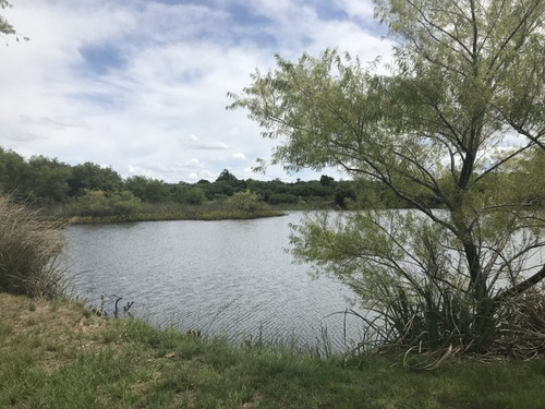 Venta De Chacra Sobre Ruta 9 A 30 Km De Jose Ignacio- Ref: 6626