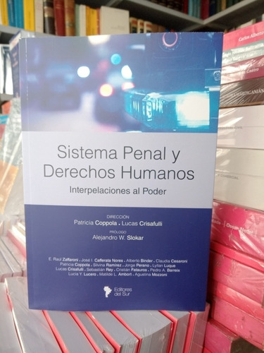 Sistema Penal Y Derechos Humanos / Zaffaroni Coppola Binder