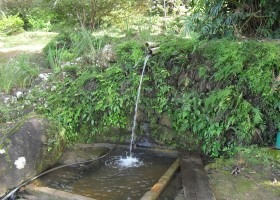 Imagem 7 de 15 de Sitio Em Ibiúna | 9626 - 9626