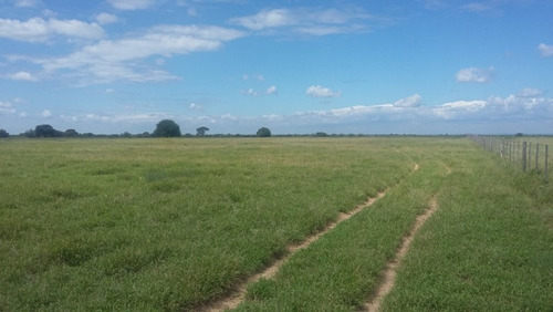 Imagen 13 de 30 de Se Vende Campo En Cordoba Listo Para Trabajarlo