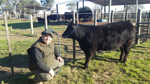 Campos Chacra Estancia Necesitamos Ya!! Para Arrendar Alquilar Venta Ganadero Agricola Tambo Forestal Pedidos Concretos Todo El Pais Se Ofrece Garantía Renta Pagada Adelantada Rápida Revisión Reserva