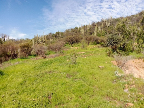 Excelente Parcela En Venta En Lliu Lliu