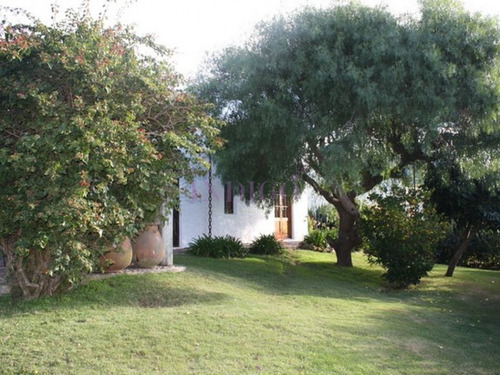 Casa En Alquiler, La Barra, 4 Dorm- Ref: 180