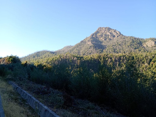 Molina, Radal Parcela De 5.000 M2 Rodeada De Bosque Nativo