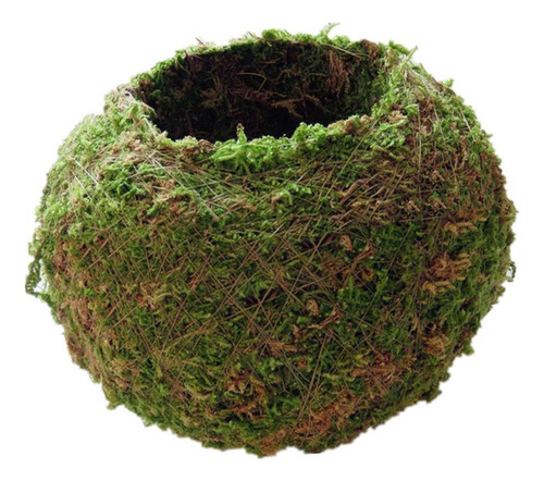 Liuyiyi Maceta De 3 Bolas Er Para Bonsái, 18 Cm