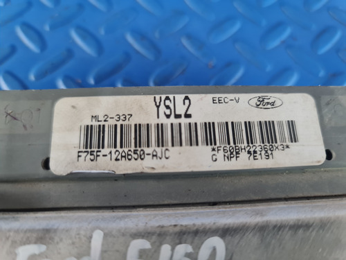 Modulo Computador De Ford F150 4.6 Litros 1999 4x4 (Usado)