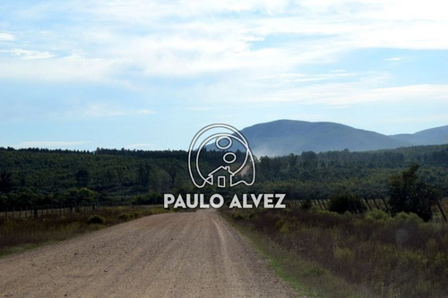 Imagen 6 de 30 de Chacras-venta-cerros-azules-ch068