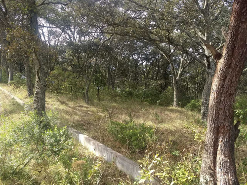 Imagen 3 de 4 de Terreno Ideal Para Casa De Campo