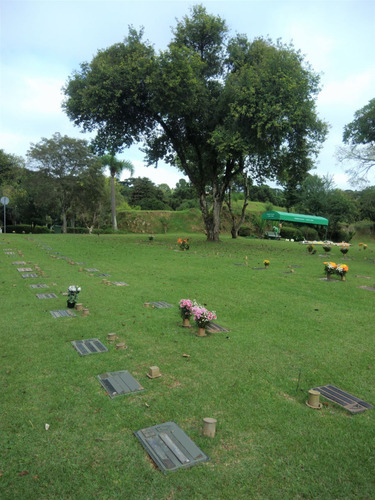 Jazigo 3 Gavetas E Lápide Área Super Nobre Cemitério Parque Iguaçu C/ Taxa De Transferência Inclusa
