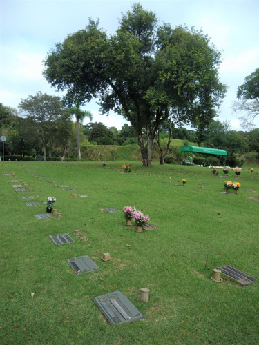 Jazigo 3 Gavetas Área Super Nobre Cemitério Parque Iguaçu