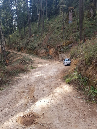 Imagen 4 de 15 de Venta De Terreno En Salazar La Marquesa Estado De Mexico