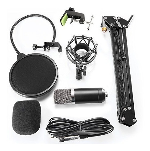 Imagen 4 de 8 de Micrófono Neewer NW-700 condensador cardioide negro/plateado
