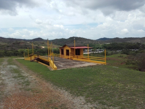 Granja Avicola Ganadera Minera Tinaquillo, Negociable