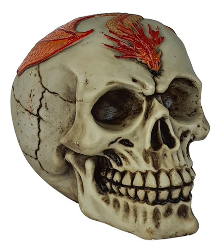 Crânio Caveira Skull Dragão Halloween Decorativo Resina