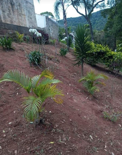 Imagem 13 de 17 de Pj Chácara A Venda
