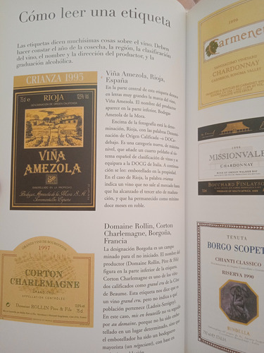 Guía Del Vino Un Viaje Práctico Por Su Apasionante Mundo (Usado)