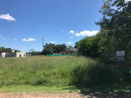 Lote En Venta En Altos Del Valle Verde