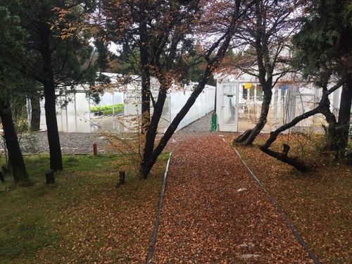Imagen 2 de 13 de Fracción Con Galpón Y 3 Invernaderos Para Hidroponia.
