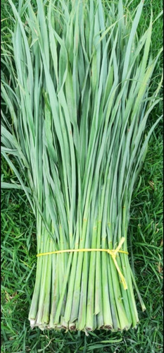 Te Limon (zacate Limon) Lemon Grass Seco 3 Kg