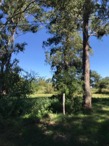 Imagen 5 de 7 de Lote A La Venta En Recreo - Sobre Ruta 70