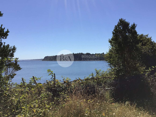 20939 - Sitio En Isla Quihua