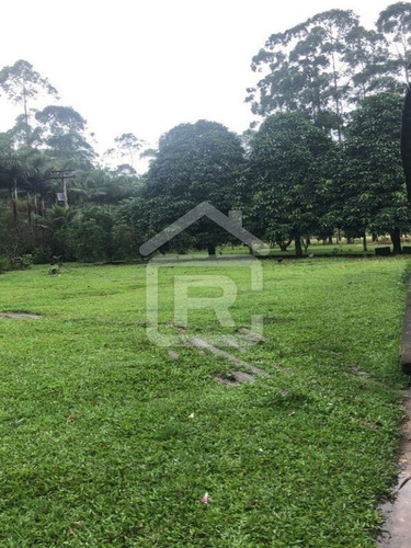 Imagem 8 de 30 de Sitio Com Topografia Plana, Totalmente Limpo, Ótimo Para Plantação Ou Criação De Gados. - 37 - 70344663