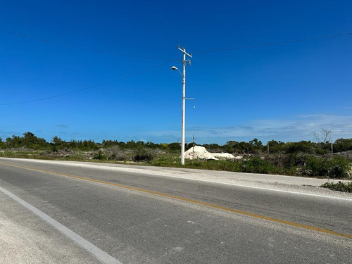 Terreno De 338 M2 Sobre Carretera Mérida - Chelem