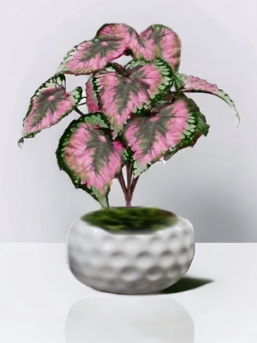 Planta Begonia Rex Artificial Con Base.