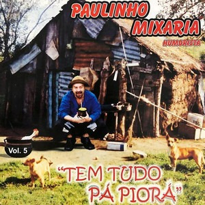 Cd - Paulinho Mixaria - Tem Tudo Pá Piora