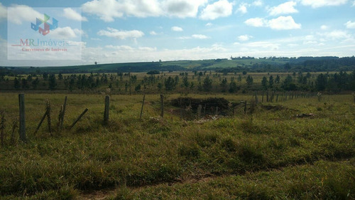 Sítio À Venda Região De Itapetininga Sp - 419