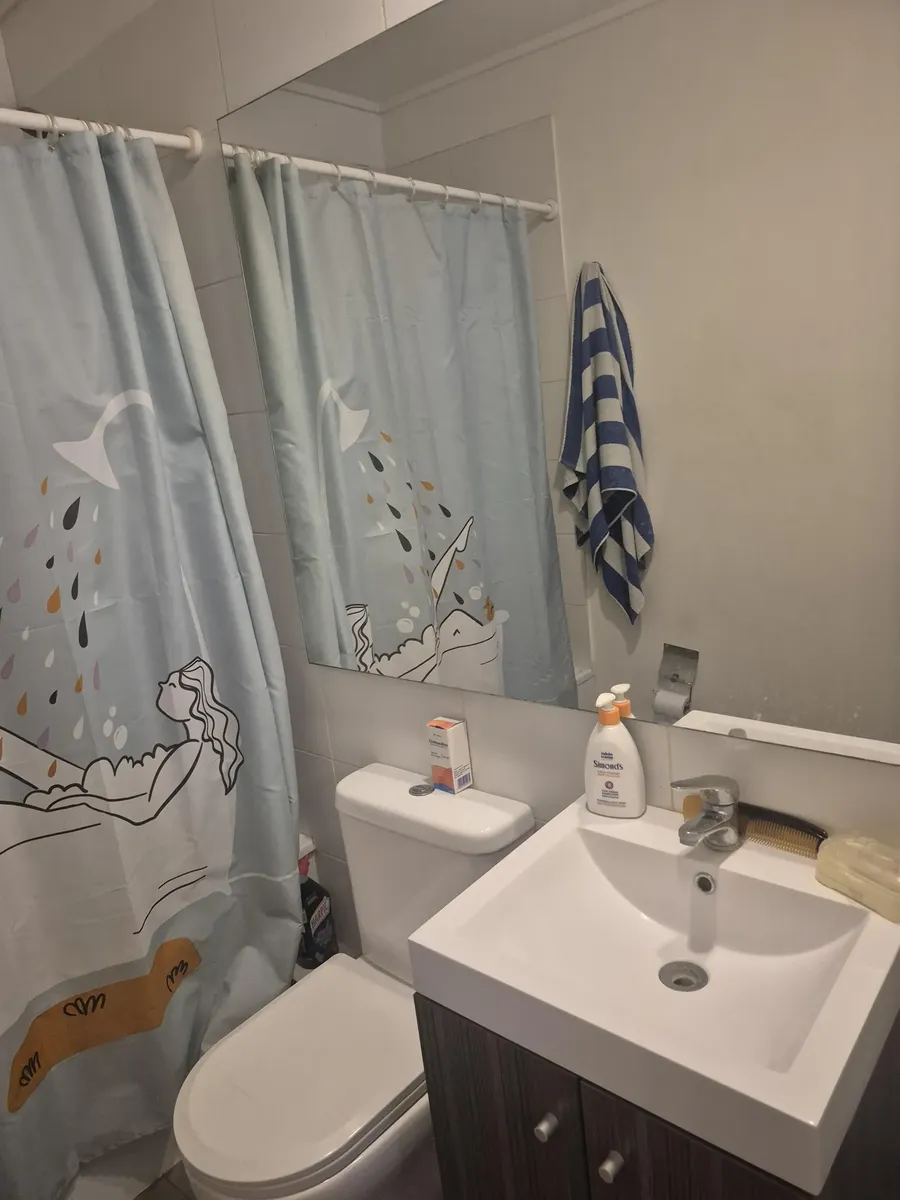 Imagen 5 de 17 de Departamento Barrio Yungay Parque Portales